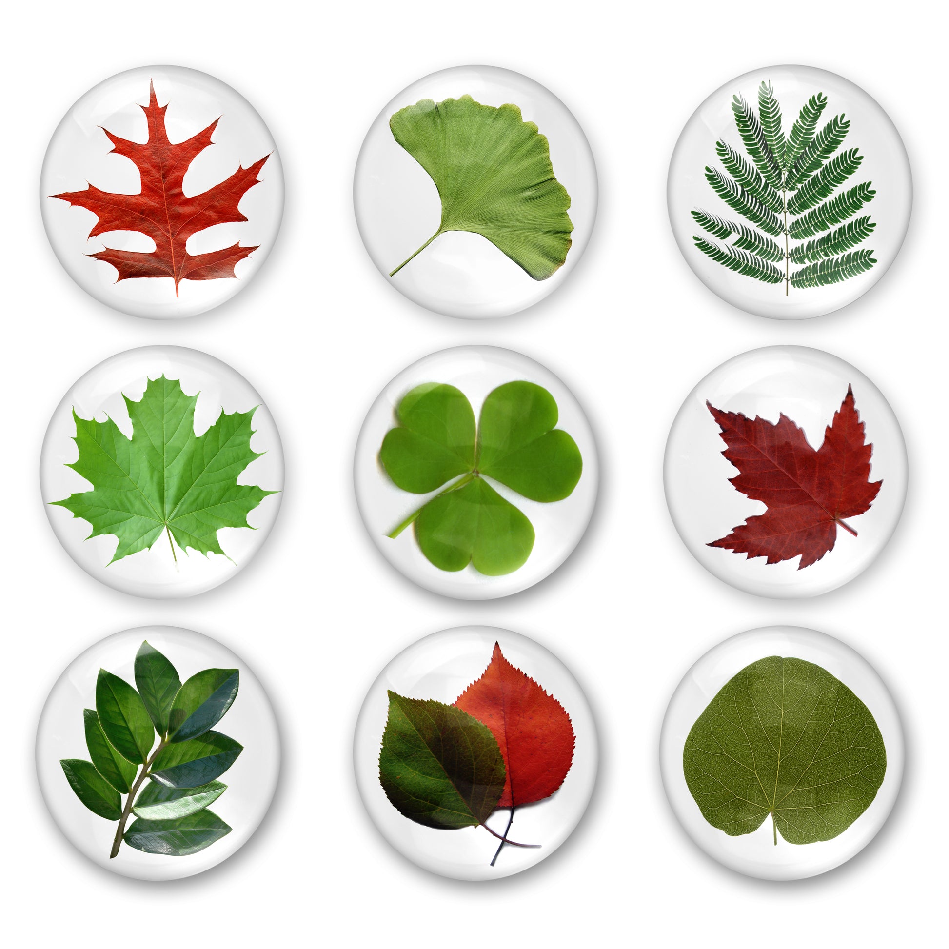 Images digitales cabochon - Feuilles - Cabochon rond à imprimer en 7 grandeurs