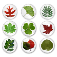 Images digitales cabochon - Feuilles - Cabochon rond à imprimer en 7 grandeurs