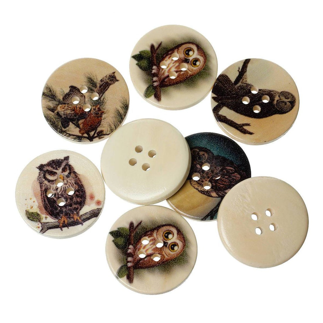 6 Boutons Hiboux couleurs variées - lot de boutons en bois 30mm
