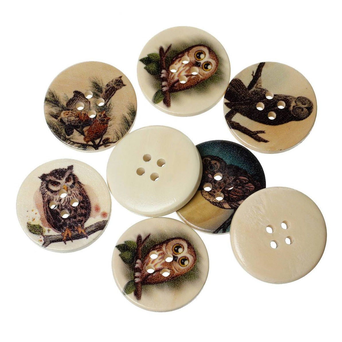 6 Boutons Hiboux couleurs variées - lot de boutons en bois 30mm